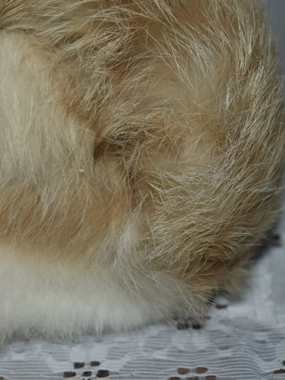 Vintage Antique Real Rabbit Fur Realistic Cat Figure Decor
